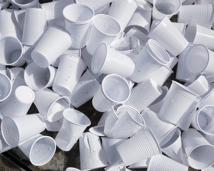 Câmara Municipal adotará medida de não uso de copos descartáveis