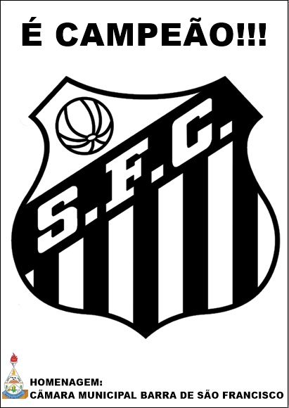 Santos é Campeão da Copa Norte de Futebol