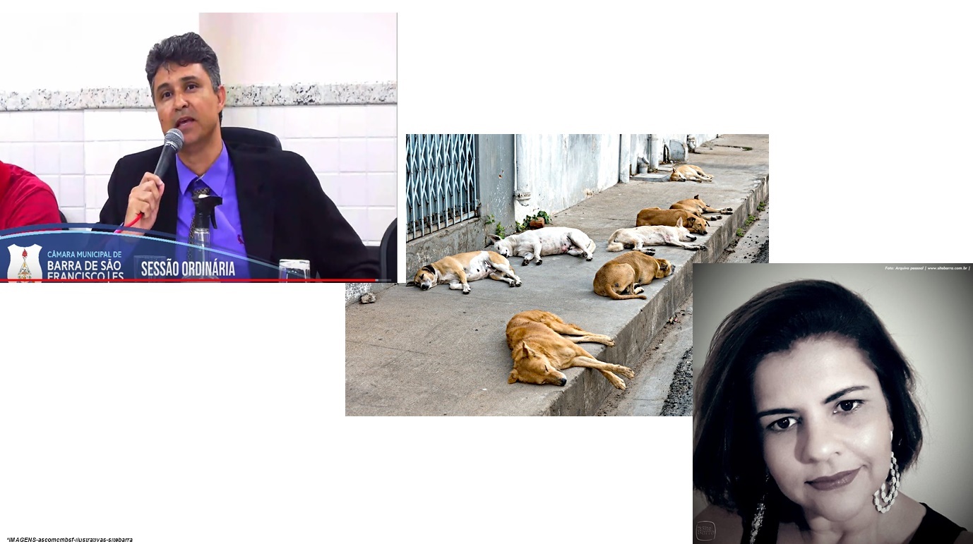 Rafael preside sessão e mostra preocupação com cães abandonados