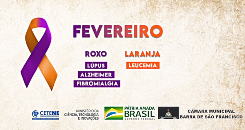 Fevereiro é o mes onde as cores roxa e laranja 