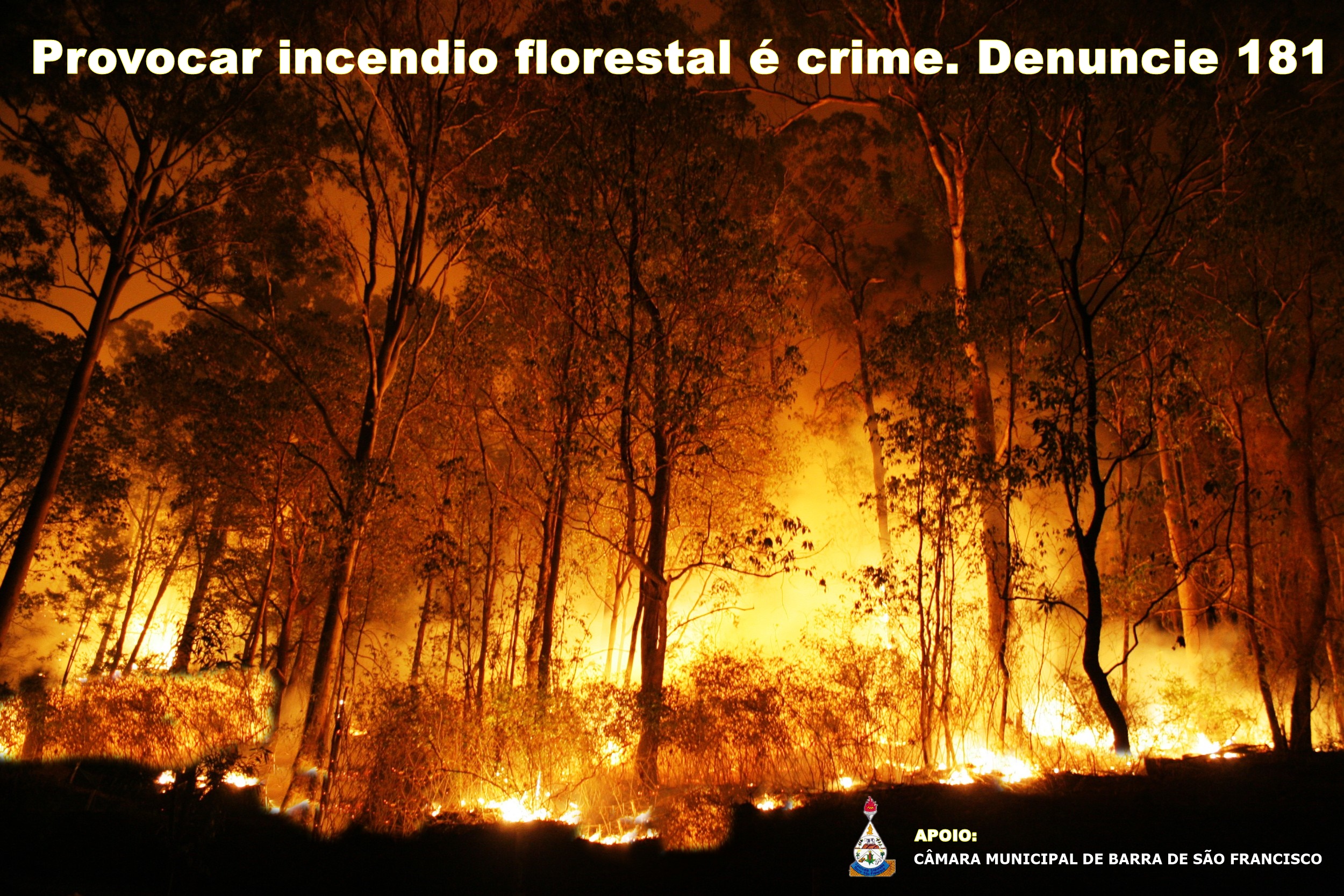 Incêndios florestais e a situação do Espírito Santo