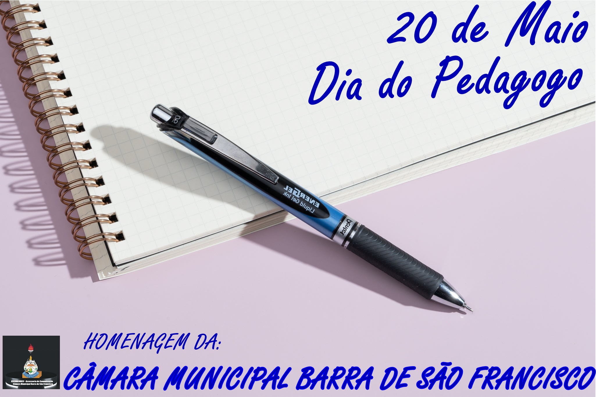 Dia do Pedagogo 20 de Maio