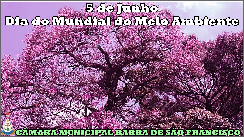 Dia do Meio Ambiente comemorado nesta semana