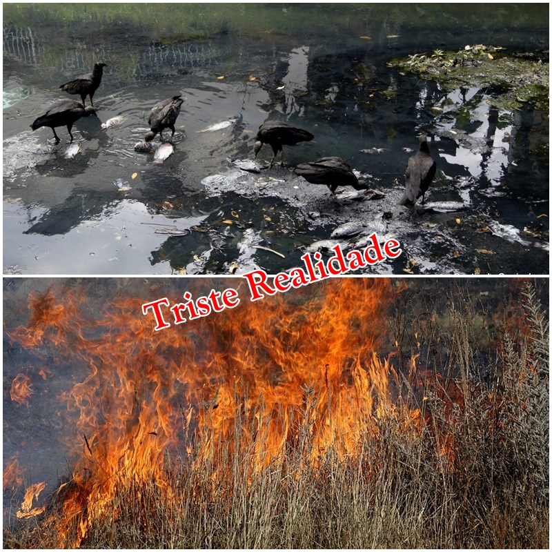 Com queimadas, falta de chuvas e de educação de moradores, situação se agrava nos rios que cortam a cidade