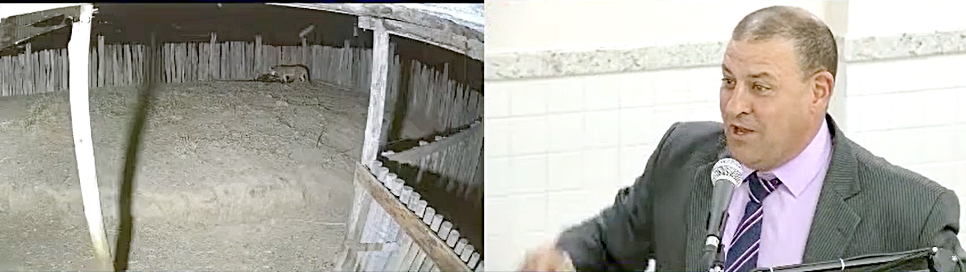 Carlim da Dengue avisa que onças estão visitando propriedades em Cachoeirinha de Itaúnas