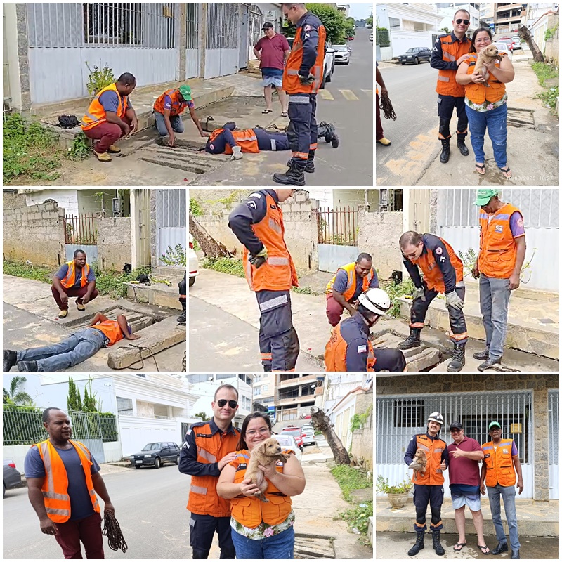 Vereador agradece resgate de cãozinho pela Defesa Civil e Bombeiros